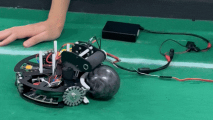 8.gif